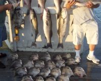 va beach fishing charters 10 20200326