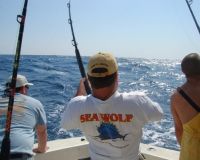 va beach fishing charters 34 20200326