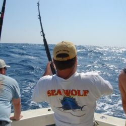 va beach fishing charters 34 20200326