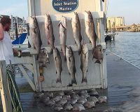 va beach fishing charters 4 20200326