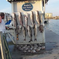 va beach fishing charters 4 20200326