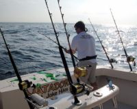 va beach fishing charters 55 20200326