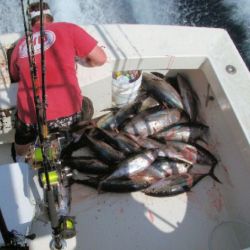 va beach fishing charters 57 20200326