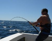 va beach fishing charters 6 20200326