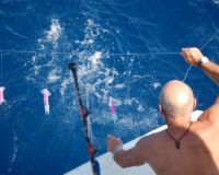 va beach fishing charters 7 20200326