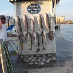 va beach fishing charters 8 20200326