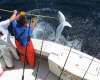 va beach fishing charters 1 20200326