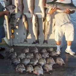 va beach fishing charters 10 20200326