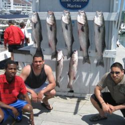 va beach fishing charters 11 20200326