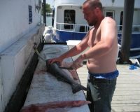 va beach fishing charters 12 20200326