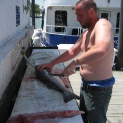 va beach fishing charters 12 20200326