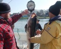 va beach fishing charters 14 20200326