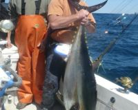 va beach fishing charters 2 20200326