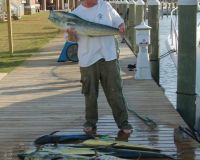 va beach fishing charters 20 20200326