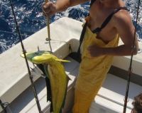 va beach fishing charters 22 20200326