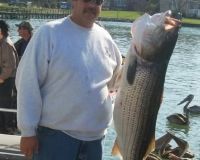 va beach fishing charters 25 20200326