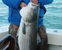 va beach fishing charters 26 20200326