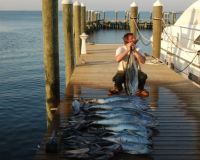 va beach fishing charters 28 20200326