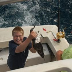 va beach fishing charters 36 20200326