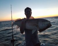 va beach fishing charters 44 20200326