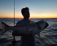 va beach fishing charters 46 20200326