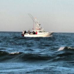 va beach fishing charters 47 20200326