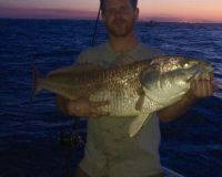 va beach fishing charters 48 20200326