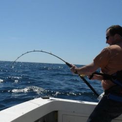 va beach fishing charters 6 20200326