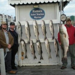 va beach fishing charters 60 20200326