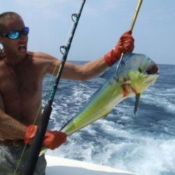 va beach fishing charters 69 20200326